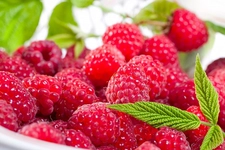 Ahududu Böğürtlen Özellikleri ve Faydaları Nelerdir?