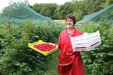 Ahududu Yetiştiriciliği Nasıl Yapılır?